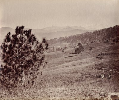 Landschap met boom en drie mannen, India door John Edward Saché