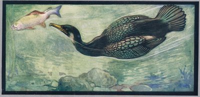 Een vogel die een vis achtervolgt, illustratie uit 
