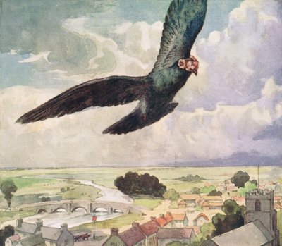 Vogel die over een stad vliegt, illustratie uit 