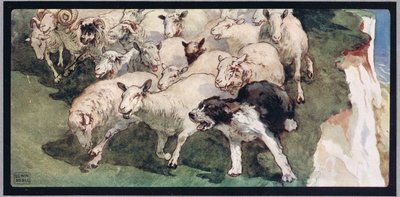 Bobtail-schapenherder en kudde op kliffen, illustratie uit 