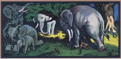 Olifant in het wild door John Edwin Noble