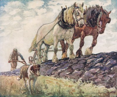 Ploegen van het veld, illustratie uit 