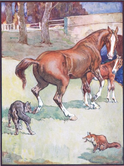 De merrie hief haar hoef op, illustratie voor Reinaert de Vos, uit Dierenlegenden uit vele landen, uitgegeven door Raphael Tuck & Sons Ltd. door John Edwin Noble