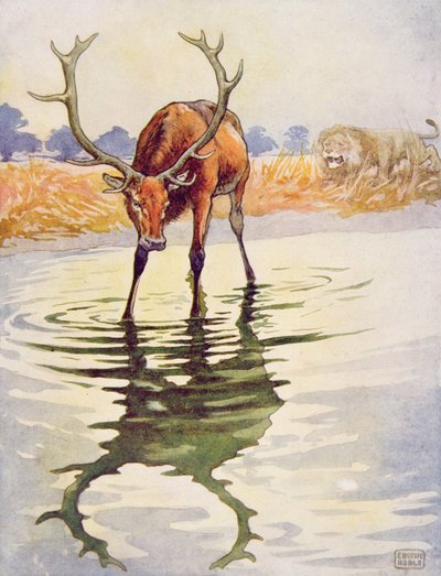 Het Hert en zijn Reflectie uit 