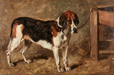 Studie van een Hond door John Emms