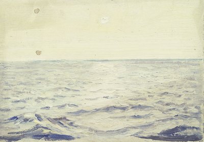 Zeegezicht vanaf de 
