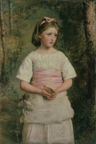 Uit het nest gevallen door John Everett Millais