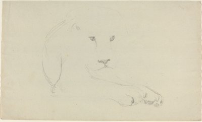 Leeuw door John Flaxman