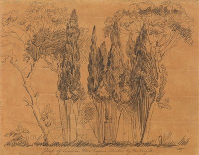 Bomen in de Villa Negroni geplant door M. Angelo door John Flaxman