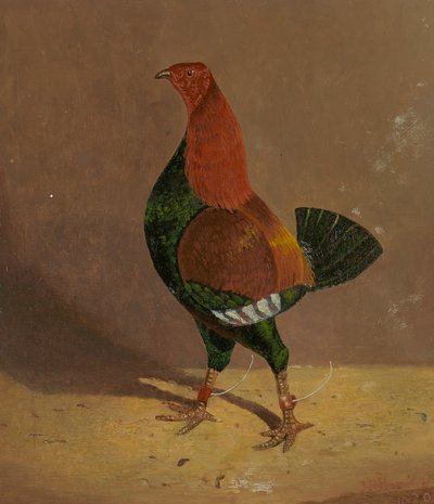 Vechtende Hanen: een Donkerborstige Vechtende Haan, naar Links Gekeerd door John Frederick Herring