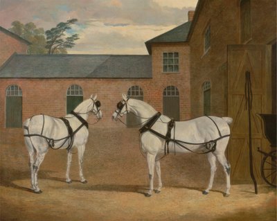Grijze Koetspaarden in de Koetshuis bij Putteridge Bury, Hertfordshire door John Frederick Herring