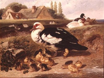 Eenden en Eendjes door John Frederick Herring Jnr
