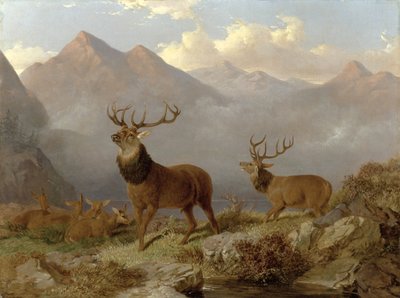 Herten en Hindes in een Hoogland Landschap door John Frederick Herring Junior