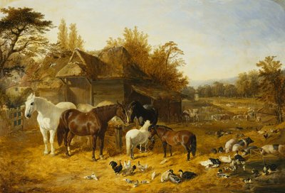 Een Boerderij met Paarden en Pony