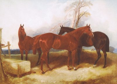 Een groep paarden, uit een onbekend tijdschrift of boek door John Frederick Herring Senior