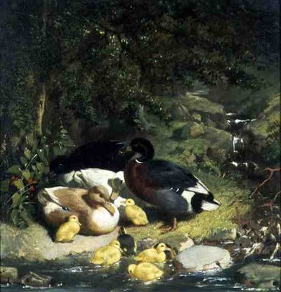 Eenden en eendjes door John Frederick Herring Senior