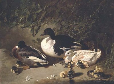 Eenden en eendjes bij een vijver door John Frederick Herring Senior