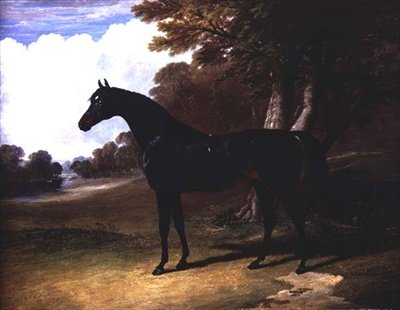 Gaucus, een donkerbruine paard in een boslandschap door John Frederick Herring Senior