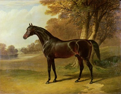 Glaucus door John Frederick Herring Senior