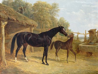 Lichtzinnigheid, eigendom van J.C. Cockerill Esq., met haar veulen Queen Elizabeth, eigendom van Lord Dorchester, 1843 door John Frederick Herring Senior