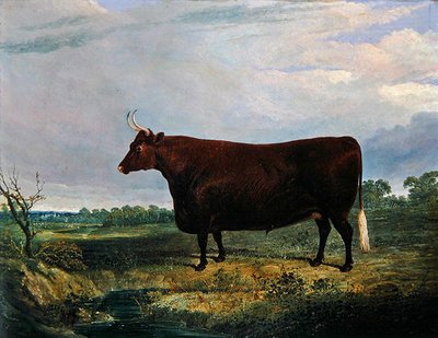 Portret van een bruine stier door John Frederick Herring Senior