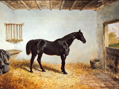 Portret van een hengst in een stal door John Frederick Herring Senior