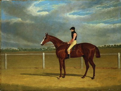 Het renpaard "De Kolonel" met William Scott Up door John Frederick Herring Senior