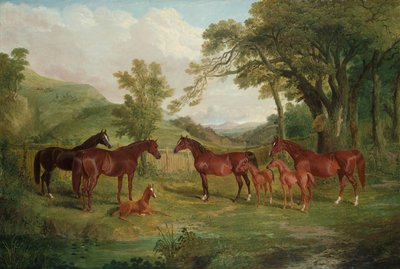 De Streatlam Stoeterij, Merries en Veulens, 1836 door John Frederick Herring Senior
