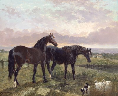 Twee paarden grazen bij zonsondergang door John Frederick Herring Senior