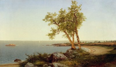 Kustlijn in de zomer (olieverf op doek) door John Frederick Kensett