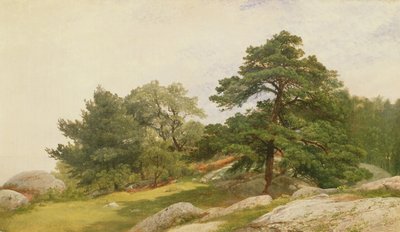 Studie voor Bomen aan de Beverly Kust door John Frederick Kensett
