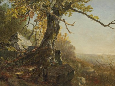 Boom in een landschap door John Frederick Kensett