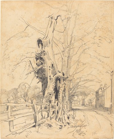 Bomen bij een Spoorhek door John Frederick Kensett