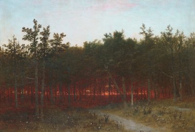 Schemering in de ceders bij Darien, Connecticut, 1872 door John Frederick Kensett