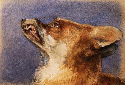 Kop van een vos door John Frederick Lewis