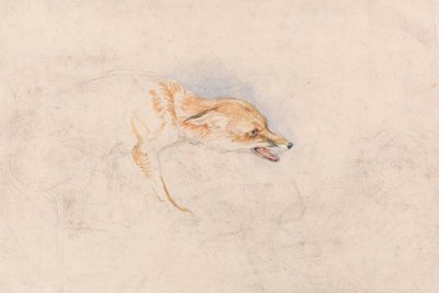 Studie van een hurkende vos, naar rechts kijkend door John Frederick Lewis