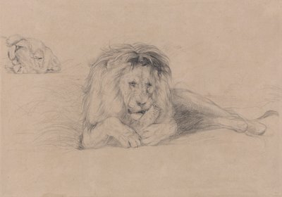 Studie van een leeuw en studie van een leeuwenkop door John Frederick Lewis