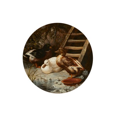 Eenden aan een rivier door John Frederick Herring Senior