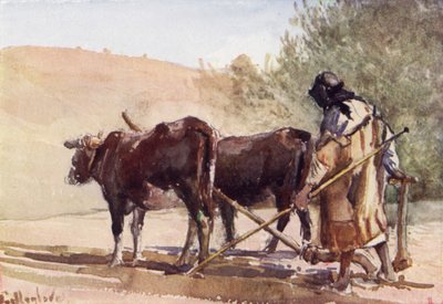 Ploegen op de Olijfberg door John Fulleylove