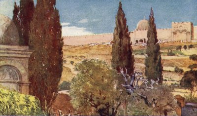 De cipressen van de tuin van Getsemane door John Fulleylove