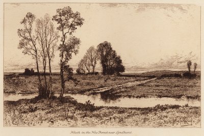Heide in het New Forest, nabij Lyndhurst door John Fullwood