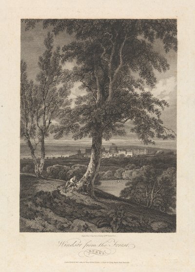 Windsor vanuit het bos, Berks door John Greig