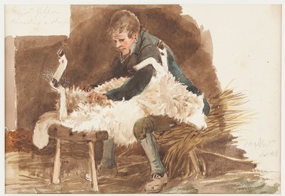 Schapen scheren, 1808 door John Harden