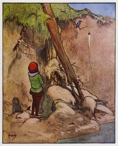 De IJsvogel door John Hassall