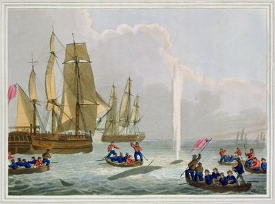 Boten naderen een walvis, gegraveerd door Matthew Dubourg, uitgegeven door Edward Orme, 1813 door John Heaviside Clark