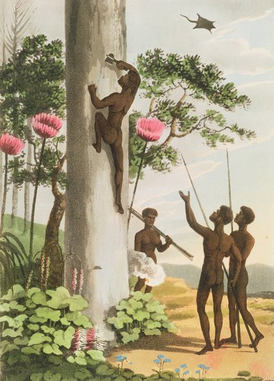 Bomen klimmen, aboriginals in New South Wales gegraveerd door Matthew Dubourg, uitgegeven 1813 door John Heaviside Clark
