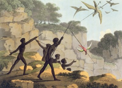 Speerwerpen, aboriginals die vogels jagen uit Nieuw-Zuid-Wales gegraveerd door Matthew Dubourg (f.1813-1820) pub. 1813 door John Heaviside Clark