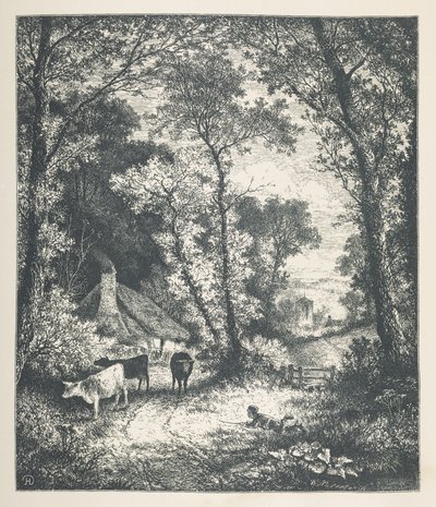 Plaat 21. Vee, uit 