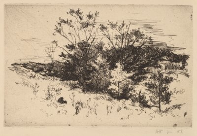 Herfst Avondale door John Henry Twachtman