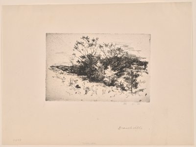 Herfstlandschap door John Henry Twachtman